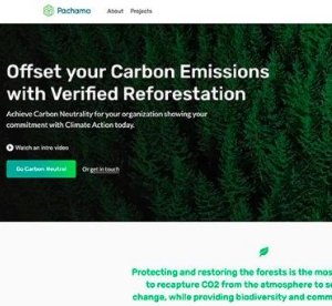 Headwaters Bamboo Now Paying Carbon Offsets - Headwaters Bamboo
