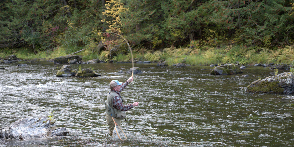 The Unseen Symphony: Why Rod Action Truly Matters for Your Fly Cast