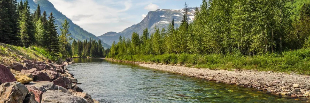 Conservation Matters: How Anglers Can Protect the Streams We Love