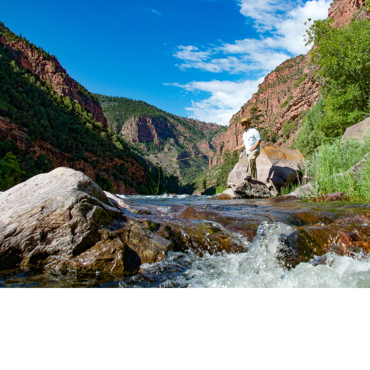 Beaverhead Bamboo Fly Rod 7'0" 4-wt | Payne 98 Taper