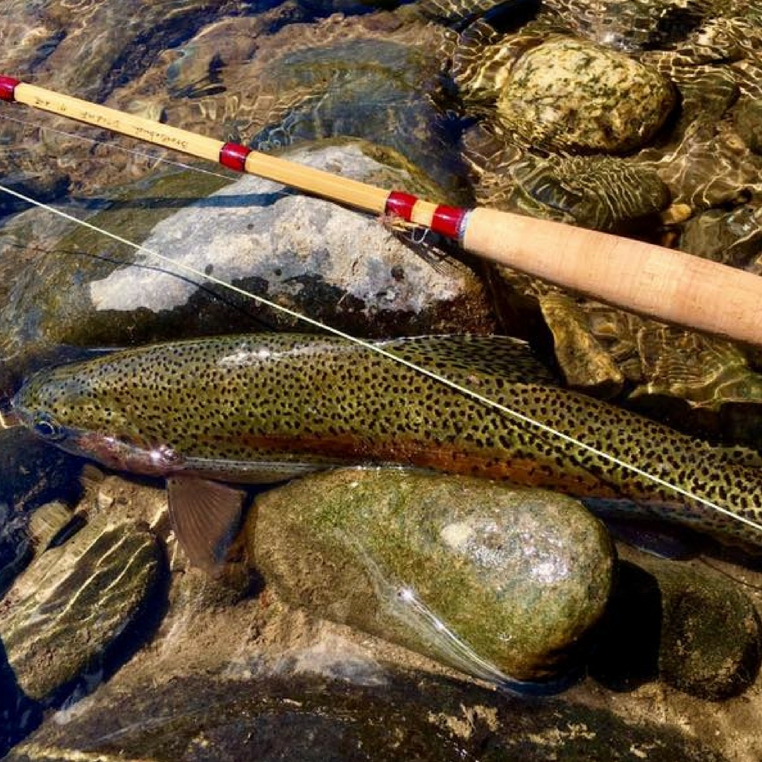 Deluxe Series Bamboo Fly Rods (2-Tips)