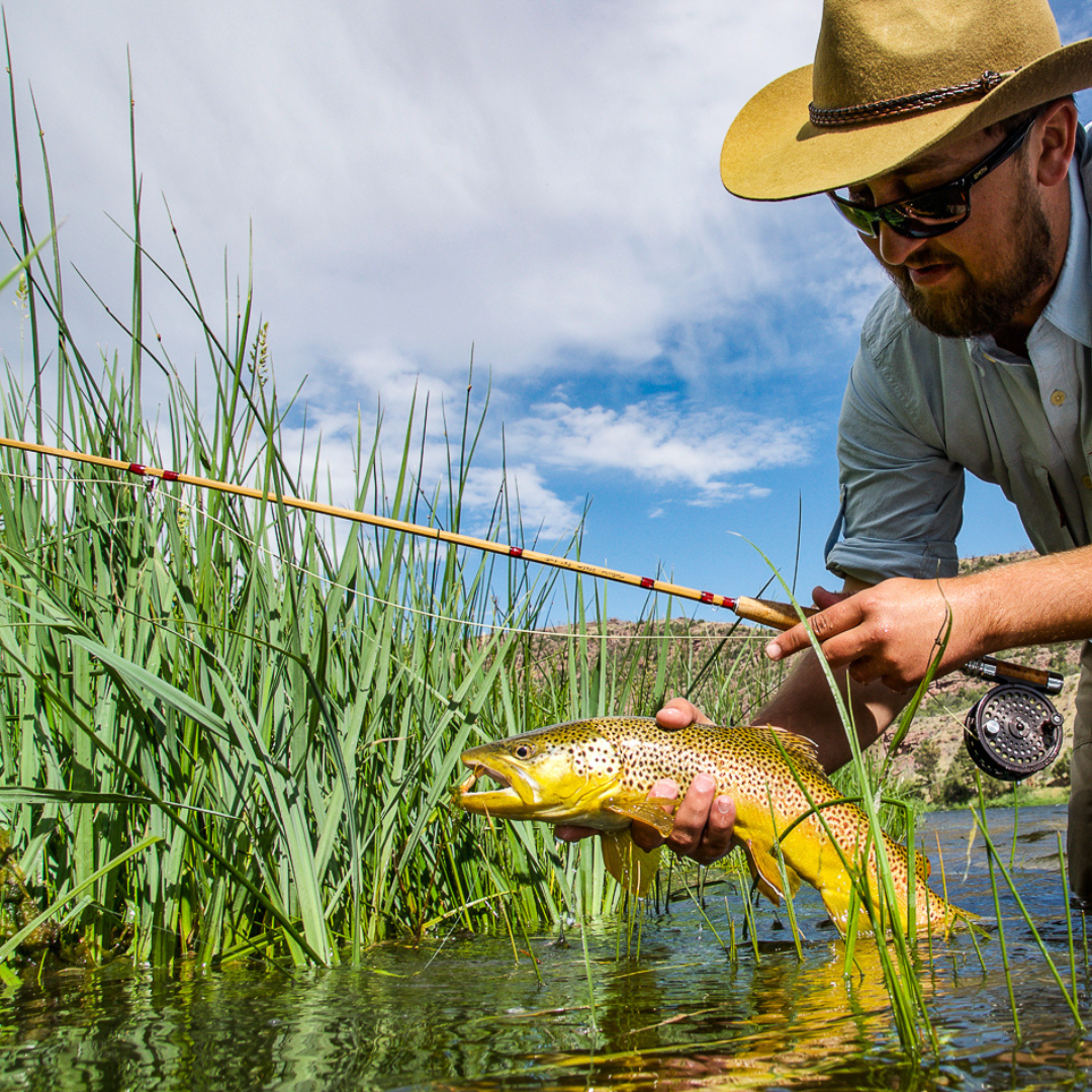 Deluxe Series Bamboo Fly Rods (2-Tips)