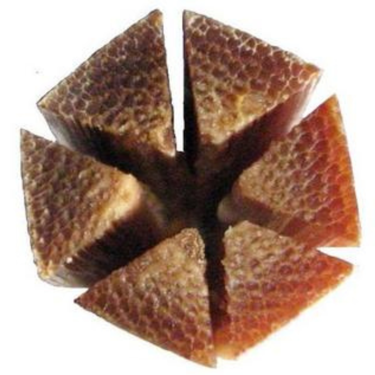 Gallatin Bamboo Fly Rod 7'6" 4-wt | Payne 100 Taper